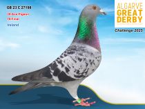 GB 23 C 27198